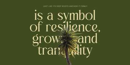 Royale Grosta Font Poster 3