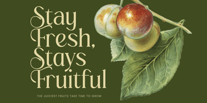 Royale Grosta Font Poster 7