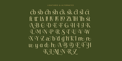 Royale Grosta Font Poster 14