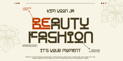 Hanjaku Namseo Font Poster 6