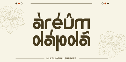 Hanjaku Namseo Font Poster 7