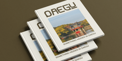 Hanjaku Namseo Font Poster 8