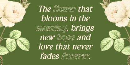 Arbane Pixel Font Poster 2