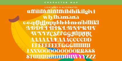 Bright Fresh Font Poster 14