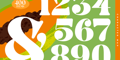 Bright Fresh Font Poster 11