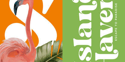 Bright Fresh Font Poster 3