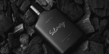 Brittney & Jasmine Font Poster 7