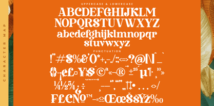 Bruge Vibes Font Poster 14