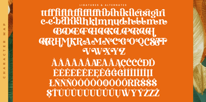 Bruge Vibes Font Poster 15