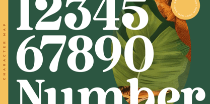 Bruge Vibes Font Poster 12