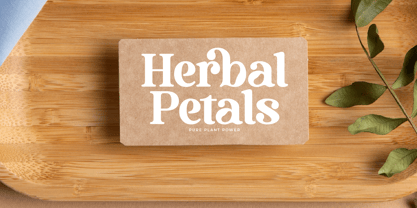 Bruge Vibes Font Poster 4