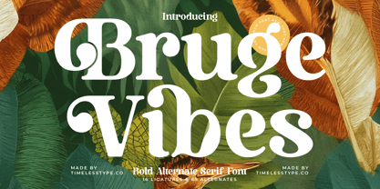 Bruge Vibes Font Poster 1