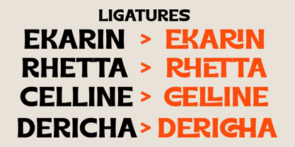 Chales Rientta Font Poster 4