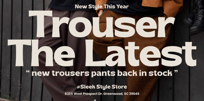 Chales Rientta Font Poster 6