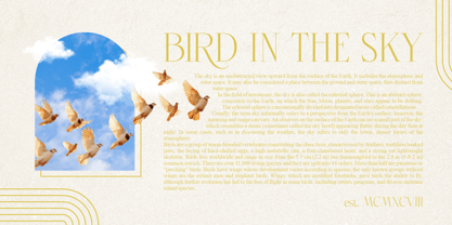 Flashdisk Font Poster 2