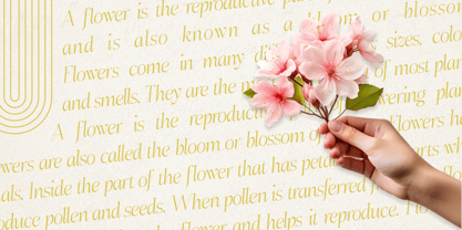 Flashdisk Font Poster 5