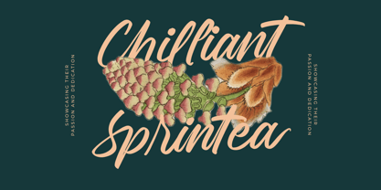 Jhapota Magrelo Font Poster 9