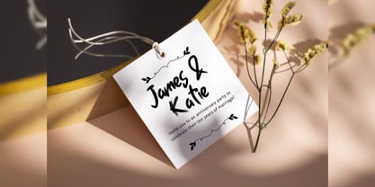 Maestrovu Font Poster 11