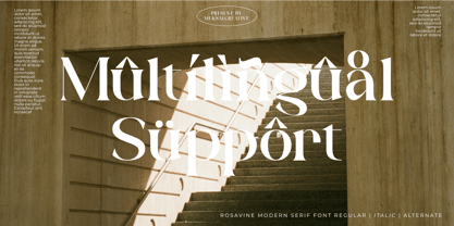 Rosavine Font Poster 10