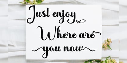 Feliciya Font Poster 4