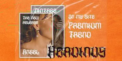 Heavinus Font Poster 15