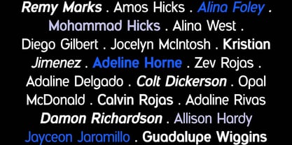 Gatsbyline Font Poster 7