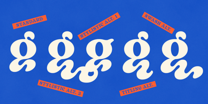 Bright Morning Font Poster 11