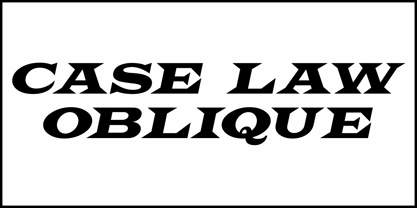 Case Law JNL Font Poster 4