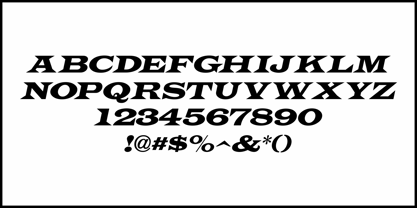 Case Law JNL Font Poster 5