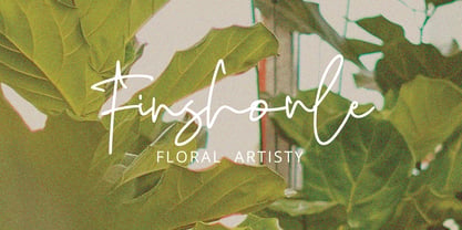 Sivadust Signature Font Poster 4