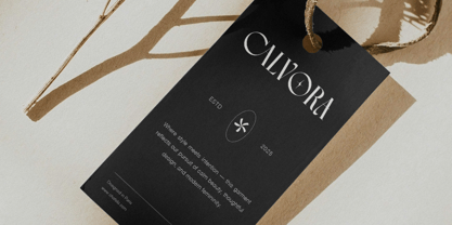Vingico Display Font Poster 12