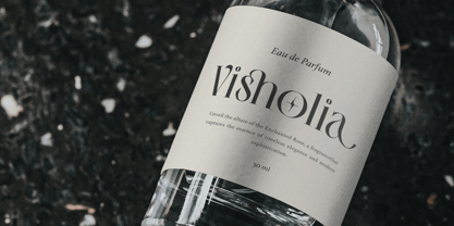 Vingico Display Font Poster 4