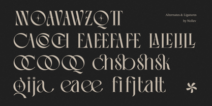Vingico Display Font Poster 3