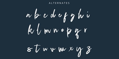 Staqila Signature Font Poster 7