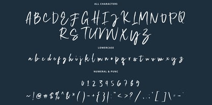 Staqila Signature Font Poster 6