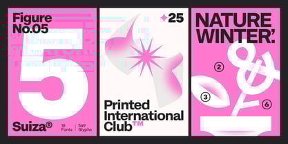 Suiza Font Poster 3