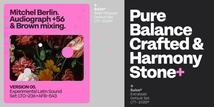 Suiza Font Poster 15