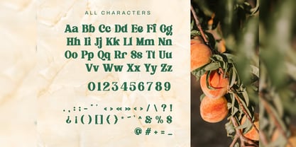 Flagfies Font Poster 2