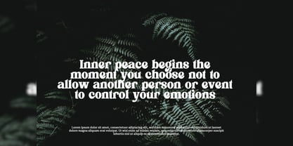 Flagfies Font Poster 8