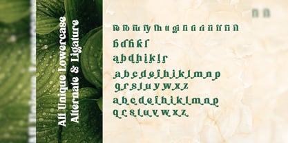 Flagfies Font Poster 5