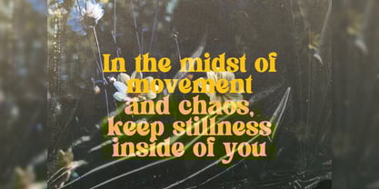 Flagfies Font Poster 9