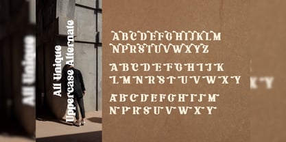 Flagfies Font Poster 4