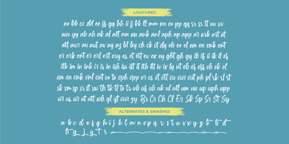 Spenty Brother Font Poster 15