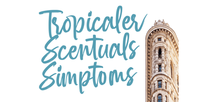 Spenty Brother Font Poster 10