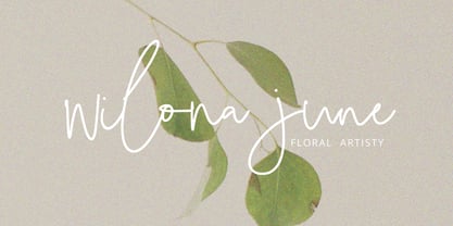 Fripeta Signature Font Poster 7
