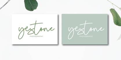 Fripeta Signature Font Poster 6