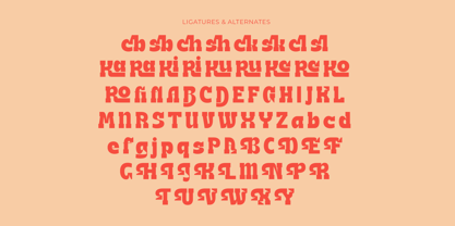 Naska Rumbe Font Poster 14