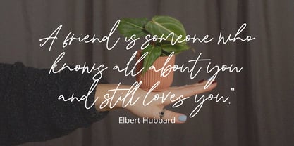 Bristian Signature Font Poster 4