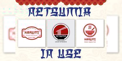 Netsumia Font Poster 9