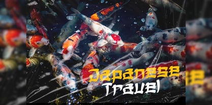 Netsumia Font Poster 10